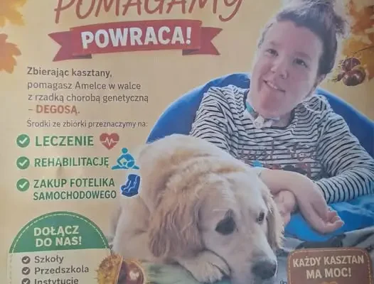 Zbierają kasztany, by pomóc Amelce w walce z Degosem