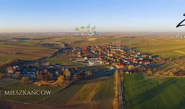 Kradzież 30 forsycji w gminie. Sołectwo apeluje o pomoc w ustaleniu sprawcy