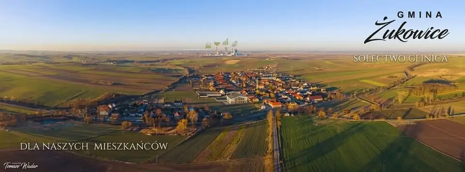 Kradzież 30 forsycji w gminie. Sołectwo apeluje o pomoc w ustaleniu sprawcy