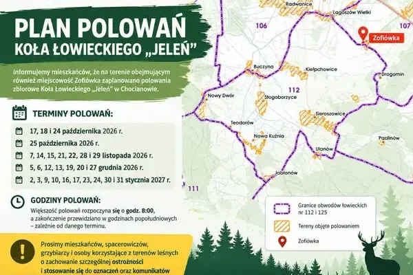 Polowania zbiorowe w okolicy Zofiówki – sprawdź harmonogram i zachowaj ostrożność