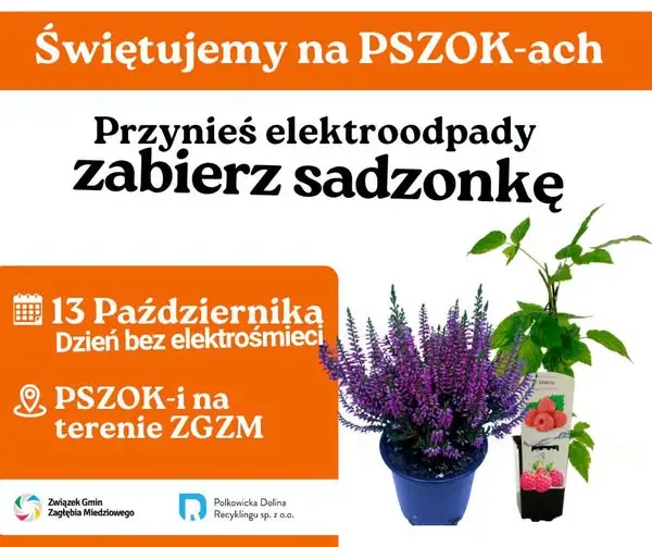 Dzień Bez Elektrośmieci: ZGZM zaprasza na akcję „Świętujemy na PSZOK-ach”