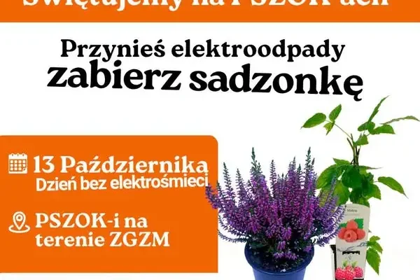 Dzień Bez Elektrośmieci 2026: ZGZM zaprasza na PSZOK-i po sadzonki